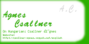 agnes csallner business card
